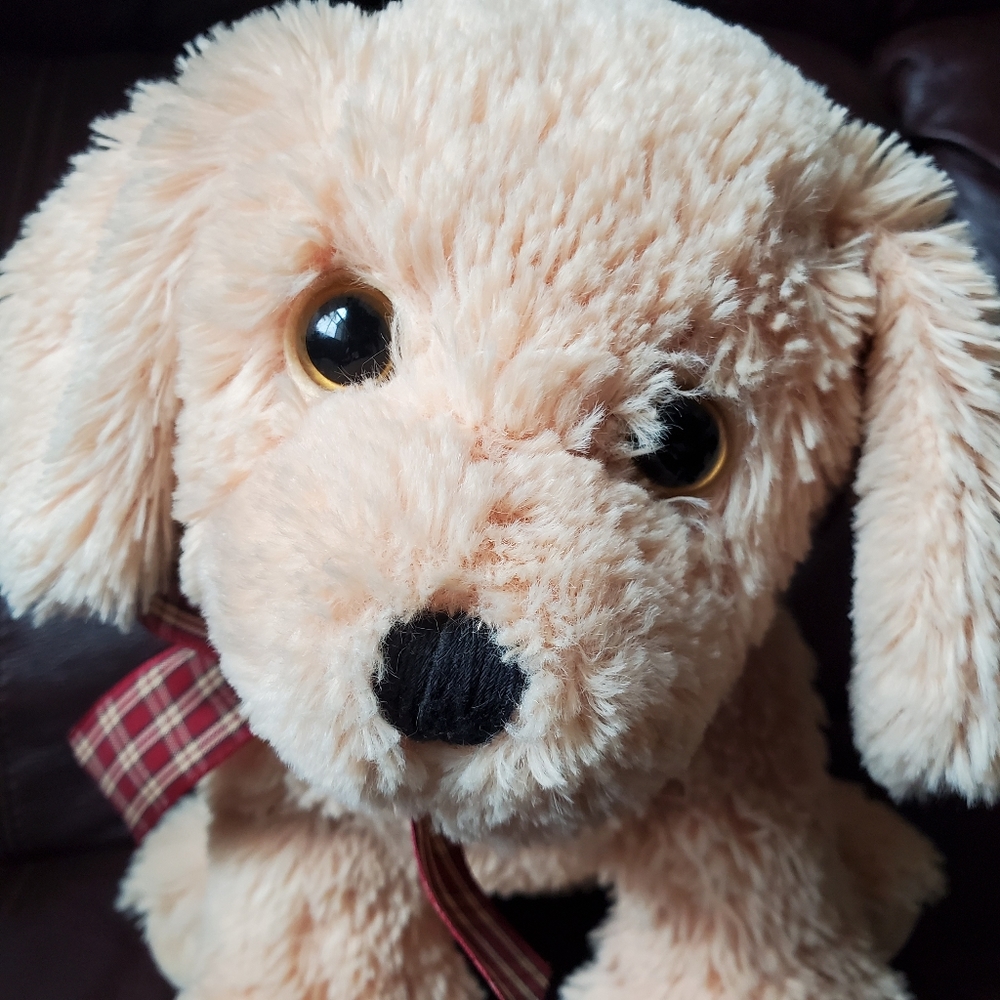 Stuffed Animal Dog - Picture 2 of 4
